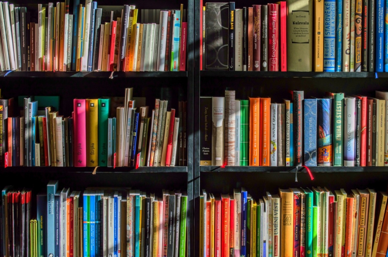 ecommerce-CHATEAUVIEUX-min_books_bookstore_book_reading_shop_writer_sale_books_read-822866
